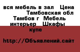 вся мебель в зал › Цена ­ 10 000 - Тамбовская обл., Тамбов г. Мебель, интерьер » Шкафы, купе   